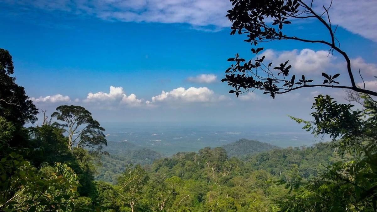 Cozy & High Floor Suite In Suasana Jb 15, Views 新山 外观 照片